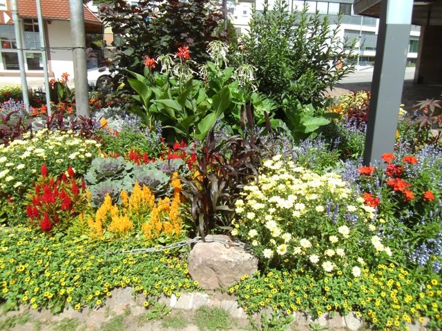 Traveler Digital Camera